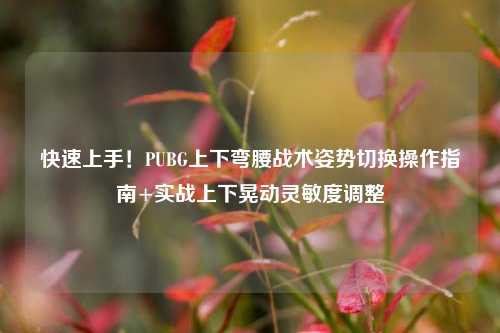 快速上手！PUBG上下弯腰战术姿势切换操作指南+实战上下晃动灵敏度调整