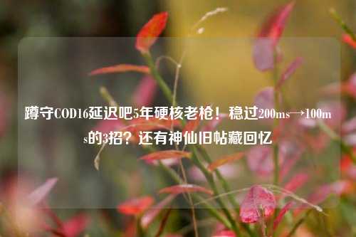 蹲守COD16延迟吧5年硬核老枪！稳过200ms→100ms的3招？还有神仙旧帖藏回忆