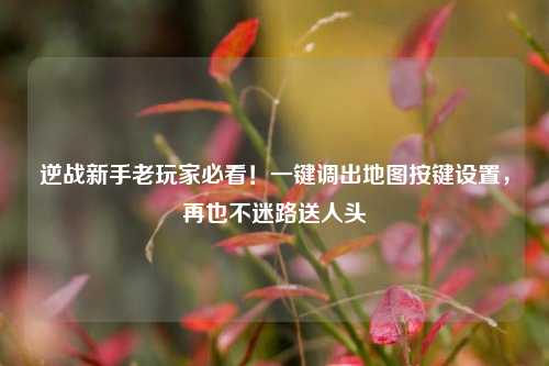 逆战新手老玩家必看！一键调出地图按键设置，再也不迷路送人头