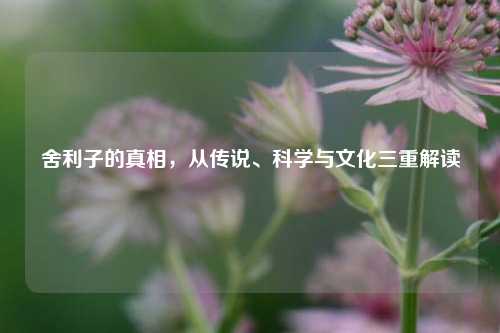 舍利子的真相,从传说、科学与文化三重解读