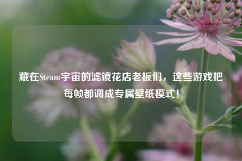 藏在Steam宇宙的滤镜花店老板们，这些游戏把每帧都调成专属壁纸模式！
