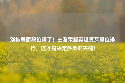 别被表面段位骗了！王者荣耀英雄真实段位排行，这才是决定胜负的关键！