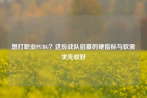 想打职业PUBG？这份战队招募的硬指标与软需求先收好