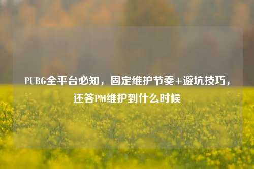 PUBG全平台必知，固定维护节奏+避坑技巧，还答PM维护到什么时候