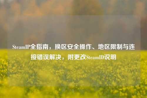 SteamIP全指南，换区安全操作、地区限制与连接错误解决，附更改SteamID说明