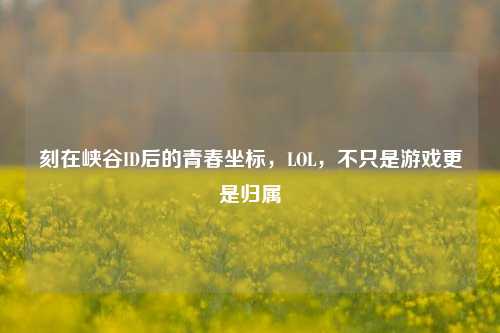 刻在峡谷ID后的青春坐标,LOL,不只是游戏更是归属