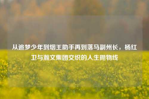 从追梦少年到烟王助手再到落马副州长,杨红卫与瀚文集团交织的人生抛物线
