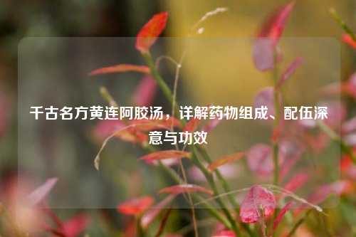 千古名方黄连阿胶汤,详解药物组成、配伍深意与功效