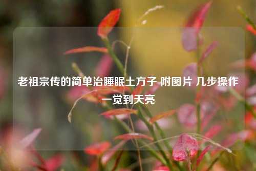 老祖宗传的简单治睡眠土方子 附图片 几步操作一觉到天亮