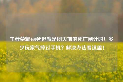 王者荣耀460延迟就是团灭前的死亡倒计时！多少玩家气摔过手机？解决办法看这里！