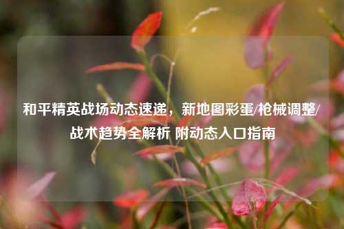 和平精英战场动态速递，新地图彩蛋/枪械调整/战术趋势全解析 附动态入口指南