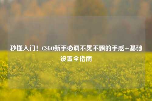 秒懂入门！CSGO新手必调不晃不飘的手感+基础设置全指南