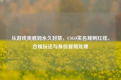从游戏爽感到永久封禁，CSGO实名规则红线、合规玩法与身份冒用处理