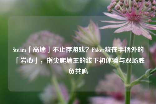 Steam「高墙」不止存游戏?Faker藏在手柄外的「岩心」,指尖爬墙王的线下初体验与双场胜负共鸣
