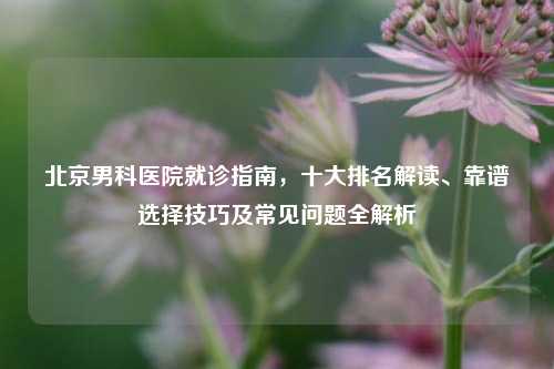 北京男科医院就诊指南,十大排名解读、靠谱选择技巧及常见问题全解析