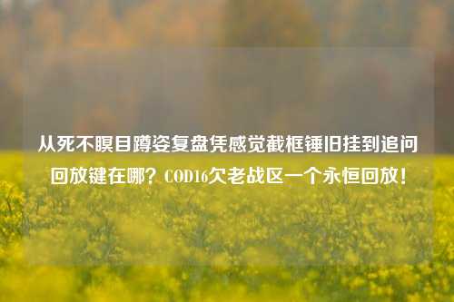 从死不瞑目蹲姿复盘凭感觉截框锤旧挂到追问回放键在哪?COD16欠老战区一个永恒回放!