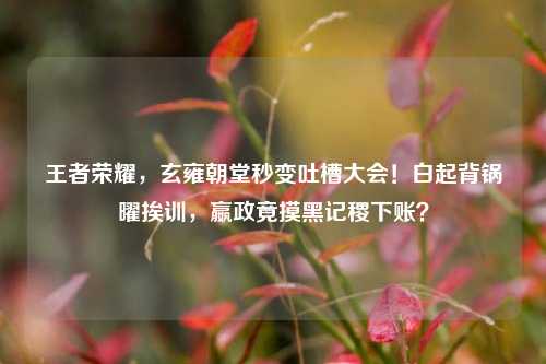 王者荣耀，玄雍朝堂秒变吐槽大会！白起背锅曜挨训，嬴政竟摸黑记稷下账？