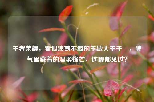 王者荣耀,看似浪荡不羁的玉城大王子暃,脾气里藏着的温柔锋芒,连曜都见过?