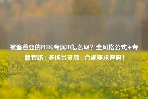 被追着要的PUBG专属ID怎么取?全风格公式+专属套路+多场景灵感+合规要求速码!