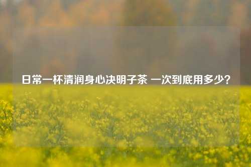 日常一杯清润身心决明子茶 一次到底用多少?