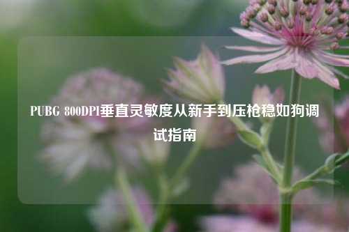 PUBG 800DPI垂直灵敏度从新手到压枪稳如狗调试指南