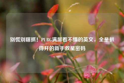 别慌别瞎抓！PUBG满屏看不懂的英文，全是扒得开的新手救星密码