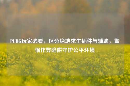PUBG玩家必看，区分绝地求生插件与辅助，警惕作弊陷阱守护公平环境