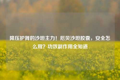 降压护肾的沙坦主力!厄贝沙坦胶囊,安全怎么用?功效副作用全知道