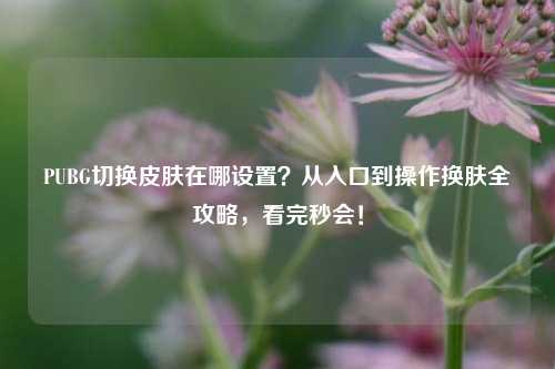 PUBG切换皮肤在哪设置？从入口到操作换肤全攻略，看完秒会！