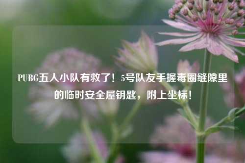 PUBG五人小队有救了！5号队友手握毒圈缝隙里的临时安全屋钥匙，附上坐标！