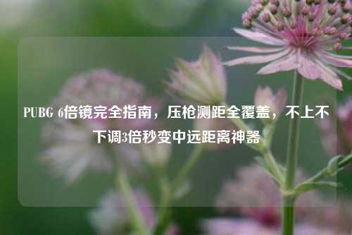 PUBG 6倍镜完全指南,压枪测距全覆盖,不上不下调3倍秒变中远距离神器