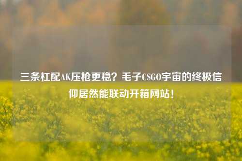 三条杠配AK压枪更稳？毛子CSGO宇宙的终极信仰居然能联动开箱网站！