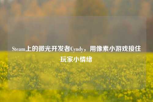 Steam上的微光开发者Cyndy,用像素小游戏接住玩家小情绪