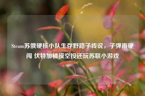 Steam苏俄硬核小队生存野路子传说,子弹雨硬闯 伏特加桶摸空投还玩苏联小游戏