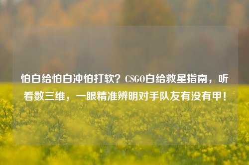 怕白给怕白冲怕打软？CSGO白给救星指南，听看数三维，一眼精准辨明对手队友有没有甲！