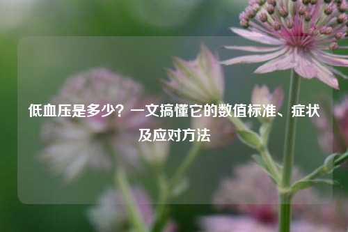 低血压是多少?一文搞懂它的数值标准、症状及应对方法