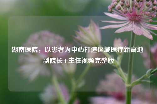 湖南医院,以患者为中心打造区域医疗新高地 副院长+主任视频完整版