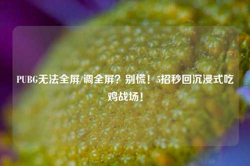 PUBG无法全屏/调全屏？别慌！5招秒回沉浸式吃鸡战场！