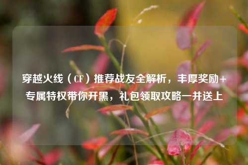 穿越火线(CF)推荐战友全解析,丰厚奖励+专属特权带你开黑,礼包领取攻略一并送上