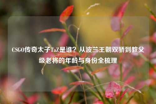 CSGO传奇太子TaZ是谁？从波兰王朝双骄到教父级老将的年龄与身份全梳理