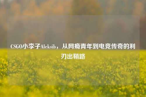 CSGO小李子Aleksib,从网瘾青年到电竞传奇的利刃出鞘路