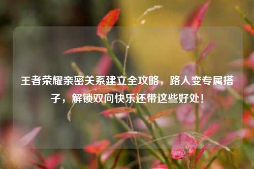 王者荣耀亲密关系建立全攻略,路人变专属搭子,解锁双向快乐还带这些好处!