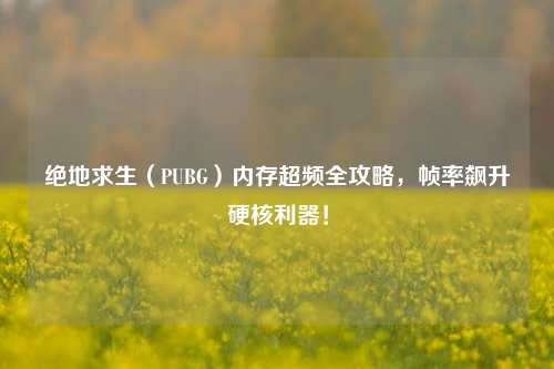 绝地求生（PUBG）内存超频全攻略，帧率飙升硬核利器！