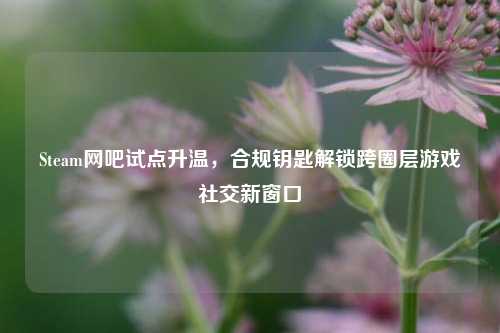Steam网吧试点升温,合规钥匙解锁跨圈层游戏社交新窗口