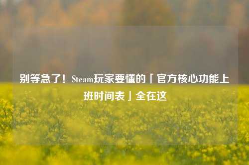 别等急了！Steam玩家要懂的「官方核心功能上班时间表」全在这