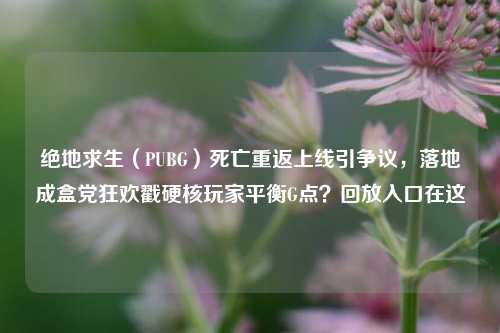 绝地求生(PUBG)死亡重返上线引争议,落地成盒党狂欢戳硬核玩家平衡G点?回放入口在这