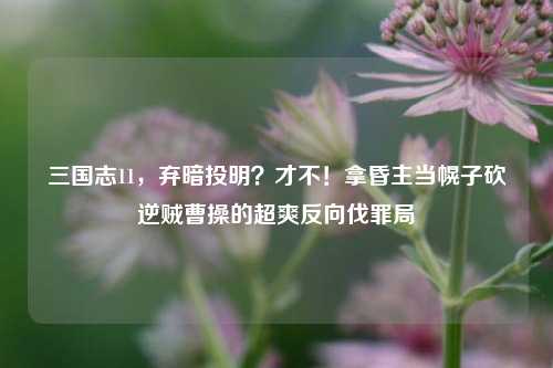 三国志11,弃暗投明?才不!拿昏主当幌子砍逆贼曹操的超爽反向伐罪局