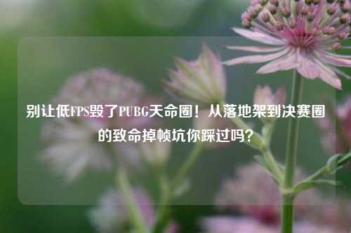 别让低FPS毁了PUBG天命圈！从落地架到决赛圈的致命掉帧坑你踩过吗？