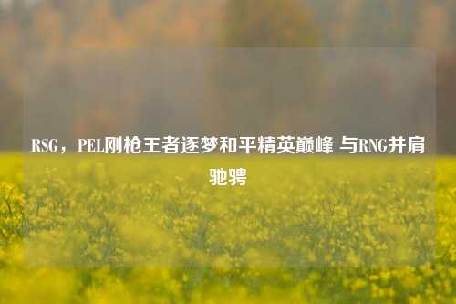 RSG,PEL刚枪王者逐梦和平精英巅峰 与RNG并肩驰骋