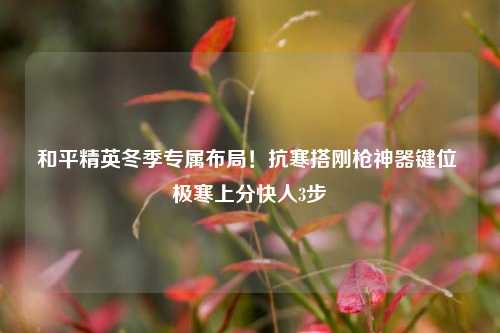 和平精英冬季专属布局！抗寒搭刚枪神器键位 极寒上分快人3步